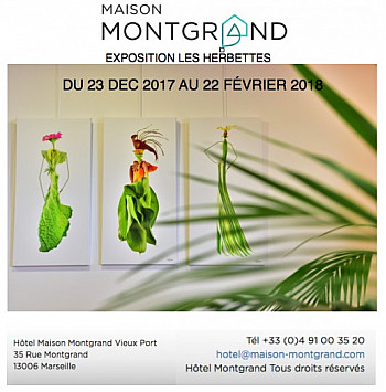 Exposition les Herbettes à la Maison Montgrand, concept store 3 étoiles de charme en plein cœur du centre-ville historique de Marseille